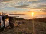 Volkswagen T5 Camper Caravelle LR - Offers