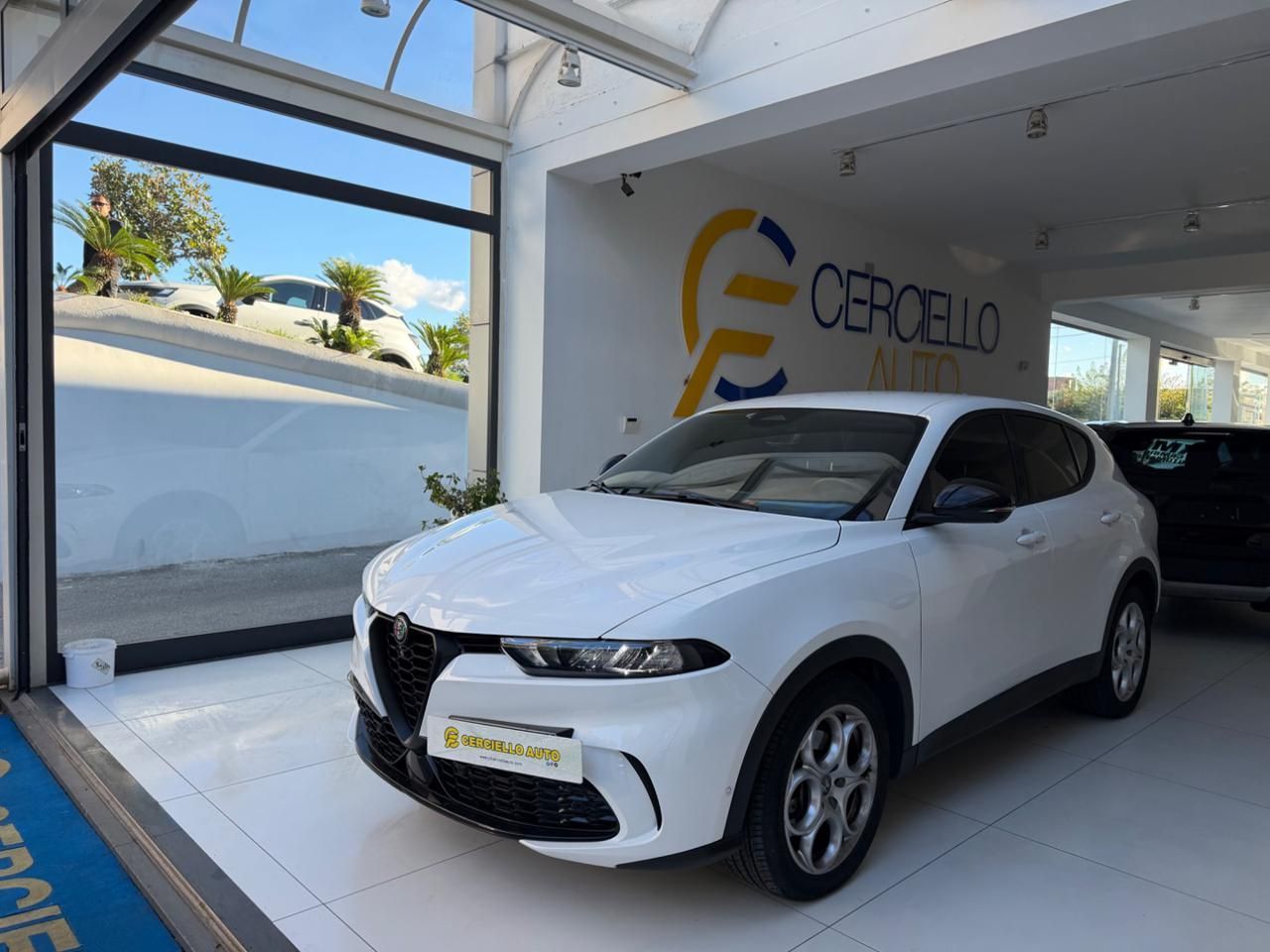 Other Alfa Romeo Tonale 1.6 diesel 130 CV TCT6 Sprint 