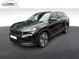 Skoda Kodiaq ''Selection'' 2.0 TDI 110 kW DSG AHK Assi - Skoda Kodiaq in Gelsenkirchen
