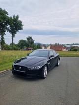Jaguar XE 25t 240PS Prestige Automatik Prestige - Jaguar XE: Prestige