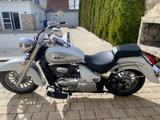 Suzuki Intruder 800 C -  nur 530 Km  Neuwertig  - SUZUKI C 800