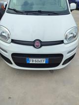 Fiat Panda 0.9 TwinAir Turbo Natural Power Loung - Fiat Panda mit CNG-Antrieb