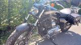 Harley-Davidson Harley Sportsster 1200