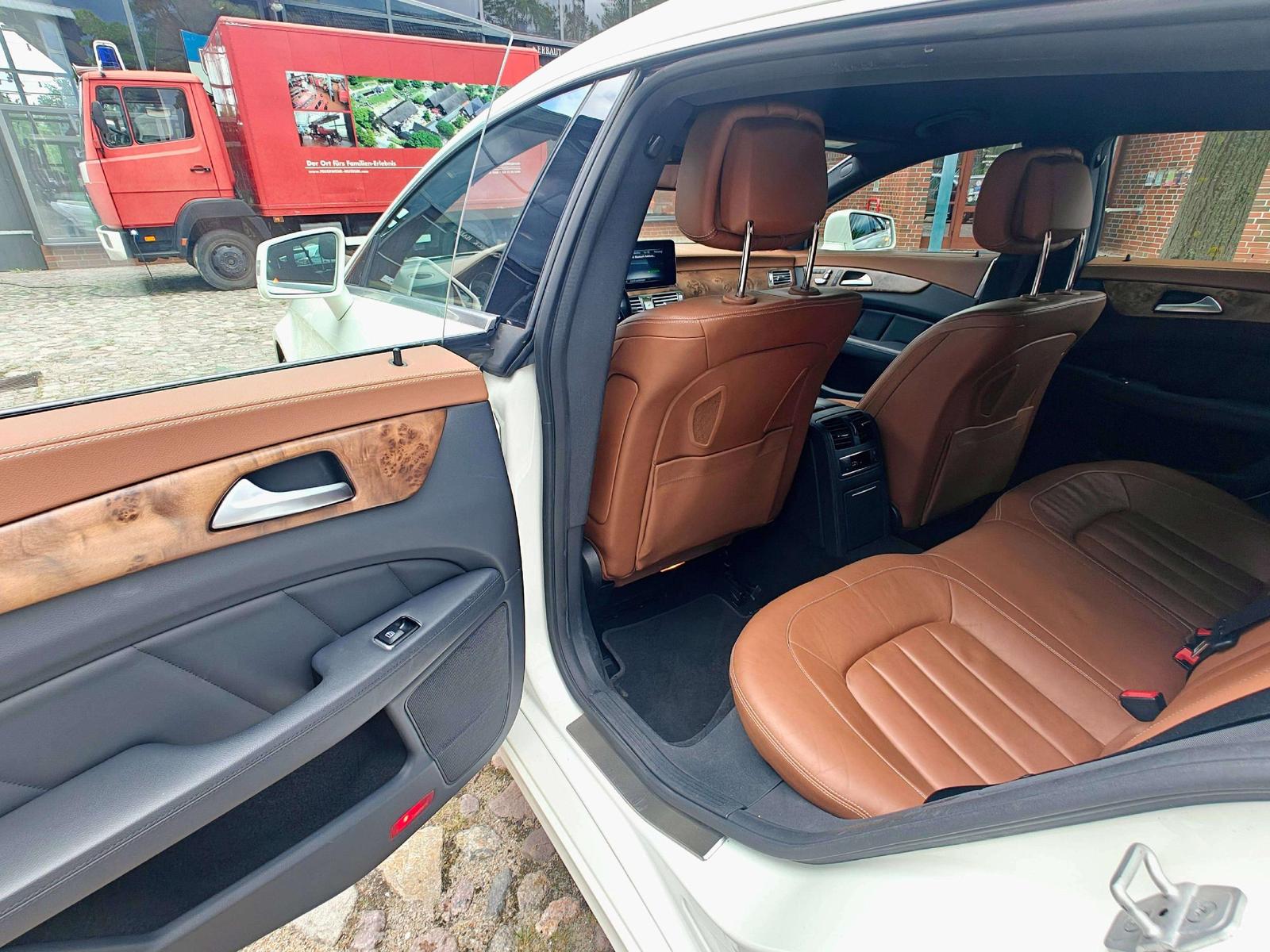 Mercedes-Benz CLS 250 CLS 250 CDI BlueTec MultiBeam /