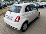 Fiat 500 1.0 Cult Klima - Fiat 500: Weiß