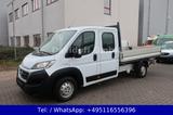 Fiat Ducato 2. Hand / Pritsche / DoKa / MAXI / FN:146 - Fiat Ducato: Pritsche Doka