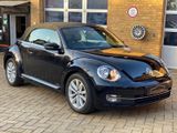 Volkswagen Beetle 1.2 TSI Cabriolet Design Leder SHZ Navi