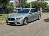 BMW F10 520d XDrive M Paket - BMW: X10