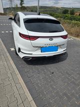 Kia pro_cee'd / ProCeed 1.6 T-GDI DCT GT GT - Kia pro cee'd / ProCeed von privat