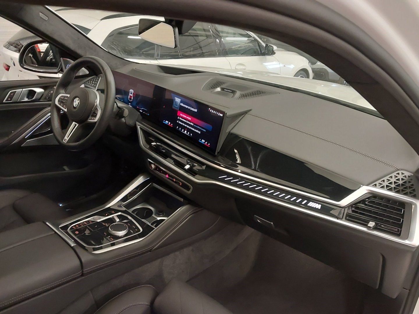 BMW X6 M60 - Bild 5