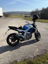 Suzuki Gladius - Angebote entsprechen deinen Suchkriterien