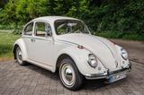 Volkswagen Käfer 64er, seltenes Sammlerfahrzeug - Volkswagen Käfer: Limousine