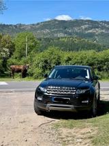Andere Range Rover evoque 2.2D - Andere in Duisburg