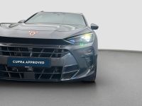 Cupra Terramar - Vorschau Bild 16