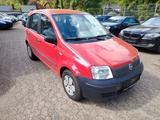 Fiat Panda 1.1 8V Active - Fiat Panda aus 2004