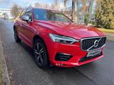 Volvo XC60 T5 R Design Geartronic  - rote Volvo XC60
