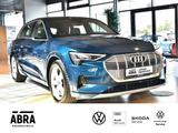 Audi E-TRON QUATTRO NAV+PANO+CAM+AHK - Elektro Vorführfahrzeug gebraucht