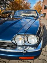 Jaguar XJS - Jaguar XJS aus 1995: Cabrio