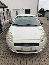 Fiat Punto 1.2 - Fiat Punto in Mainz
