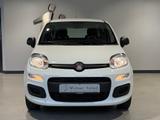 Fiat Panda 1.2 Easy Komfort-Paket Winterräder - Fiat Panda: Easy