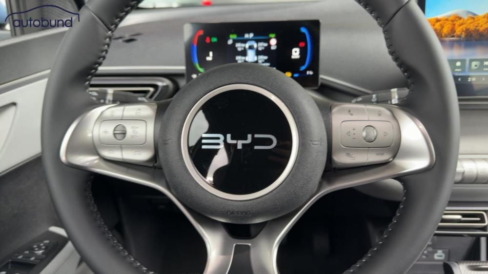 BYD DOLPHIN SURF