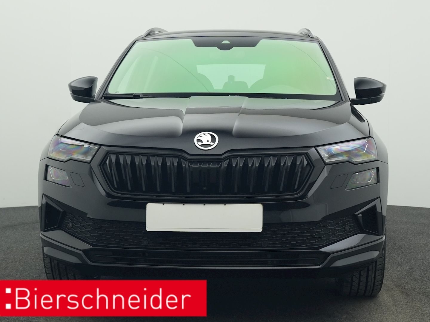 Skoda Karoq - Bild 10