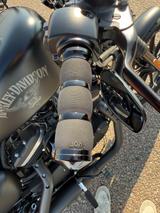 Harley-Davidson Iron 883 Sportster - Offers matching your search criteria