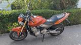 Honda CB600F (Hornet) 600ccm 98PS TÜV - HONDA 2004 HORNET 600