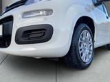 Fiat Panda Gewerbeleasing Klimaanlage Parkpilot ZV - Fiat Panda Neuwagen
