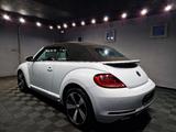 Volkswagen Beetle Cabriolet Allstar BTM 1.2 TSI|AUTOM|LEDER - Volkswagen Beetle: Cabrio