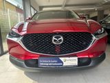 Mazda CX-30 Selection X 186 PS *AWD*Leder*Premium*Desi - Mazda CX-30 in Dortmund