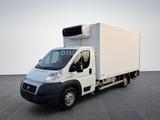 Fiat Ducato Tiefkühlkoffer XARIOS 500 *1.HAND*79 TKM* - Angebote