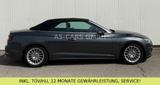 Audi A5 Cabriolet 40 TFSI *3xS-LINE*LIEBHABERFAHRZEUG - Audi A5 mit Benzin-Antrieb: Grau, Cabrio