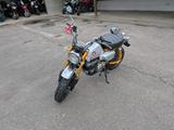 Honda Z 125 Monkey Mod. 2025 - HONDA MOTORRAD