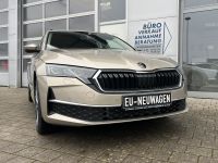 Skoda Octavia 1.5 TSI MHEV DSG Selection AHK 5J GAR bei Autohaus Landmann & Maier OHG
