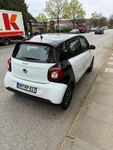 Smart ForFour 1.0 52kW prime Top-Zustand TÜV NEU  - Smart ForFour Gebrauchtwagen in Hamburg