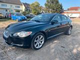 Jaguar XF 3.0 V6 Diesel Premium Luxury - Jaguar XF aus 2009: Luxury