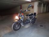 Honda SCOOTER HONDA ZOOMER 50 4T DEL 2005 57.200 KM MO - Offers