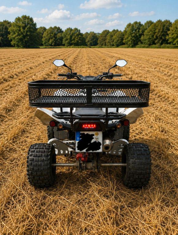 Adly  2011 — engine 320 cm³, 20 HP (15kW)