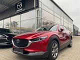 Mazda CX-30 SKYACTIV-X 2.0 MHybrid AWD SELECTION DES-P - Mazda CX-30 Gebrauchtwagen
