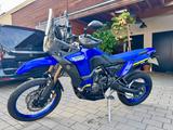 Yamaha Ténéré 700 World RAID - Akrapovic - Angebote