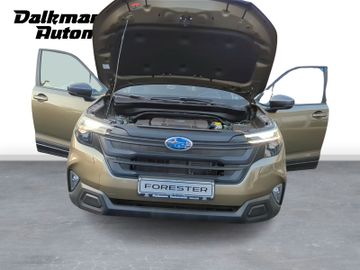 Bild 9 Subaru Forester AWD Hybrid Kamera ACC CarPlay SHZ