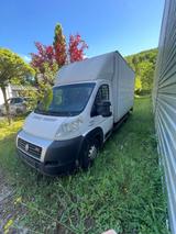 Fiat Ducato 3,5ToMaxi Transporter 3.0. Tüv... - Fiat: Transporter