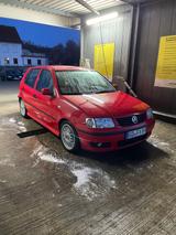 Volkswagen Polo 1.4 55kW Highline Classic Highline