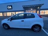 Fiat Punto 1.2 8V - - Fiat Punto in Bochum