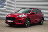 Ford Kuga 1.5 EcoBoost ST-Line X LED Navi Schiebedach - rote Ford Kuga