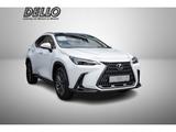 Lexus NX 450h+ E-Four Executive Panoramadach Interieur - Lexus in Hamburg: Nx
