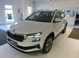 Skoda Karoq 2.0 TDI 4x4 Drive