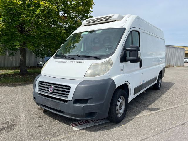 Fiat Ducato*Thermo-King V-300*Klima*Kühlkasten*