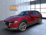 Mazda CX-30 1.Hand*AHK*LED*BOSE*ACC*RFK - Mazda Gebrauchtwagen in Erfurt
